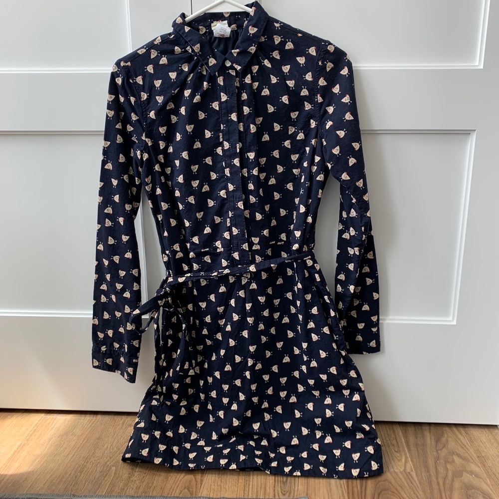 EUC CREWCUTS BUTTON DOWN DRESS | SIZE 14